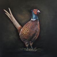 sybrig, fazant schilderij, pheasant painting, pheasantpainting, dierenschilderij, animalpainting, animalportrait